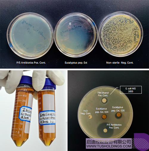 1583030502358013.png 屏幕快照 2020-03-01 上午9.20.06.png